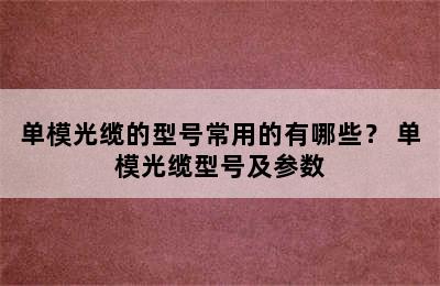 单模光缆的型号常用的有哪些？ 单模光缆型号及参数